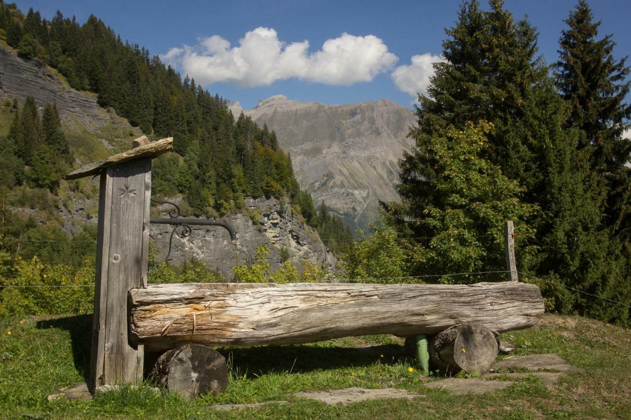 Reine Des Aravis - Chalet Isole فلوميه المظهر الخارجي الصورة